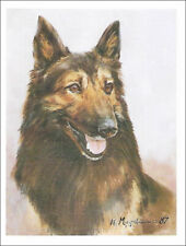 Belgian Tervuren Note Cards ~ Head Study ~ Ruth Maystead 4 pk. picture