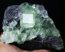 Praise  Museum quality super-large crystal blue green transparent fluorite picture