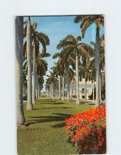 Postcard Avenue of Magnificent Royal Palms Florida USA picture