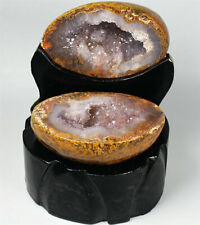 A Pair Natural Amethyst/Red Agate Geode Quartz Crystal Cluster Point Cornucopia picture