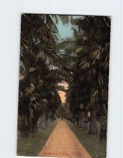 Postcard Avenue of Palms Florida USA picture