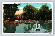 Wilmington NC-North Carolina, Greenfield Lake and Park Souvenir Vintage Postcard picture