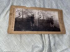 Antique Stereoview Card: Will he hit it? Man Shooting Chicken - 962 Series 1747 picture