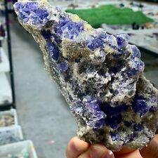 1.71LB Natural Blue-purple cubic fluorite mineral crystal sample/China picture