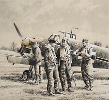 Crack Ace by Robert Taylor aviation art signed by a WWII Luftwaffe Fighter Pilot picture