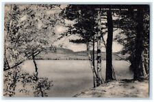 c1940's Auburn Maine ME, Lake Auburn And Trees View Unposted Vintage Postcard picture
