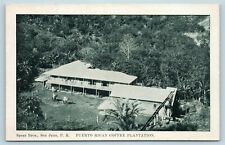 Postcard Puerto Rico San Juan 1907 Coffee Plantation Aerial Spear Bros AE15 picture