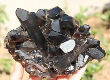 1103g  Natural Rare Beautiful Black QUARTZ Crystal Cluster Mineral Specimen picture