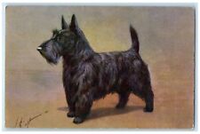 c1930's Cute Black Scottie Dog Animals Switzerland Unposted Vintage Postcard picture