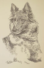 Belgian Tervuren Dog Art Print #34 Stephen Kline adds your dogs name free. GIFT picture