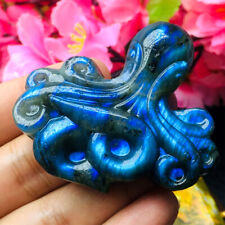 Natural Labradorite Hand Carved Octopus Quartz Crystal Reiki Healing Gift 1PCS picture