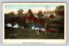 Salem WV- West Virginia, Beauty Spot, Antique, Vintage Souvenir Postcard picture