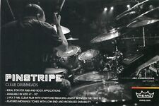 2016 small Print Ad of Remo Pinstripe Clear Drumheads w Abe Cunningham Deftones picture