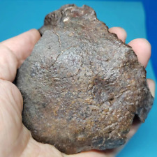 366.9g NICELY CRUSTE NWA fresh crust and enstatite chondrite METEORITE picture