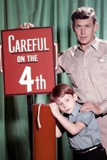 RON HOWARD ANDY GRIFFITH THE ANDY GRIFFITH SHOW 24x36 Poster 4TH JULY FIREWORK picture