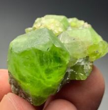 173 Cts Top Quality  Terminated Peridot Crystals bunch From SkarduPakistan picture