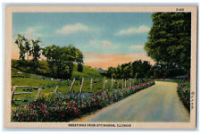 c1940's Road and Farm Scene Greetings from Effingham Illinois IL Postcard picture