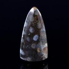 Natural Agatized Fossil Coral Gem Cabochon with Flower Pattern Indonesia 6.97 g picture