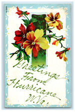 1909 Yellow and Red Flowers, Greetings from Hurricane WV Embossed Postcard picture