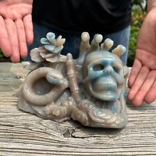 5.5LB 7''Hand Carved Natural Trolleite Skull And Snake Sculpture Crystal Carving picture