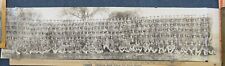 Antique WW1 Military Panoramic Photo picture