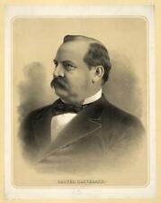 Grover Cleveland,President of United States,American Politician,c1884 picture