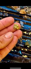 GOLD PAYDIRT UNSEARCHED 10 lb Guaranteed Added Gold Crystals Gemstones Pay Dirt picture