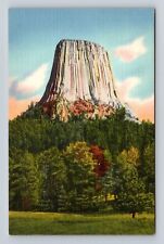 Devil's Tower WY-Wyoming, The Devil's Tower, Antique, Vintage Souvenir Postcard picture