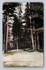 Lake Sunapee NH-New Hampshire, Through the Pines, Antique Vintage Postcard picture