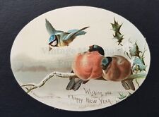 c1890s New Year Greeting - Oval - 'An Early Bird' picture