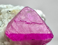 132Gm Wonderful Top Red Ruby With Pargasite, Pyrite, Mica Crystal On Matrix @AFG picture
