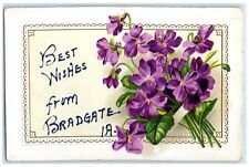 1910 Best Wishes From Bradgate Bunch Of Flower Iowa IA Correspondence Postcard picture