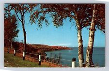 Petoskey MI-Michigan, Scenic Beauty Overlooking The Bluffs, Vintage Postcard picture