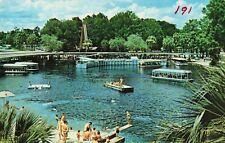 Silver Springs FL Florida, Boats Docks Aquatorium Swimmers, Vintage Postcard picture