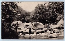 Asheville North Carolina NC Postcard Trout Stream Grove Park Inn Mountain c1940 picture