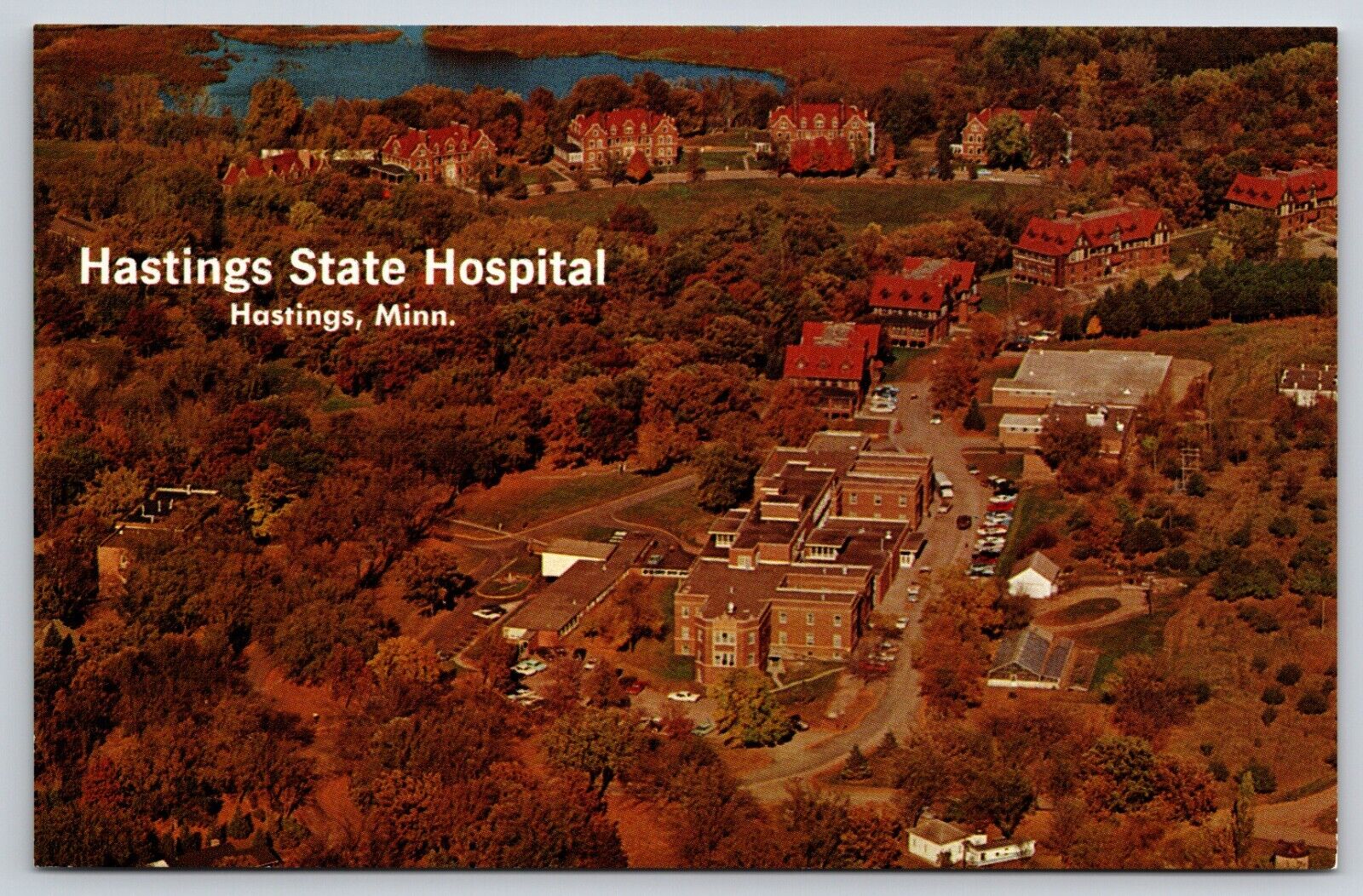Postcard Minnesota Hastings State Hospital Aerial View 