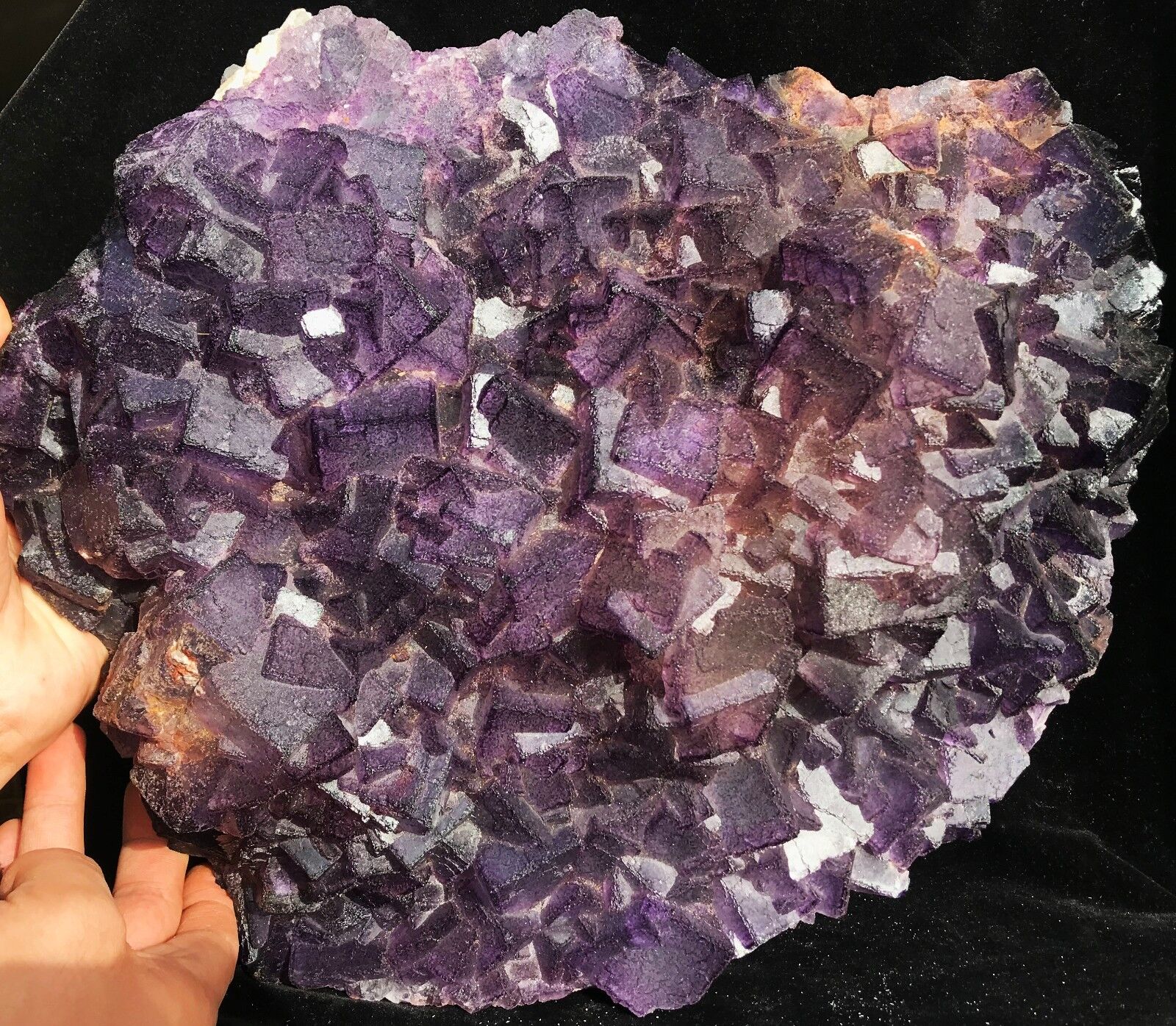 22.88lb Beauty Rare Purple Cube “Pattern” Fluorite Mineral Specimens/China