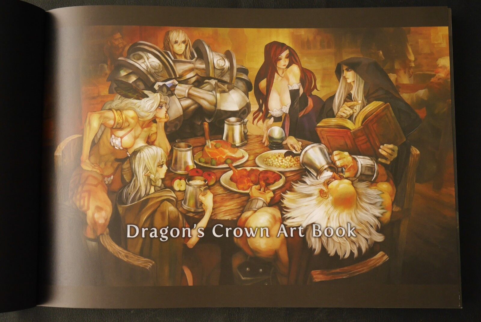 JAPAN Dragon's Crown Art Book