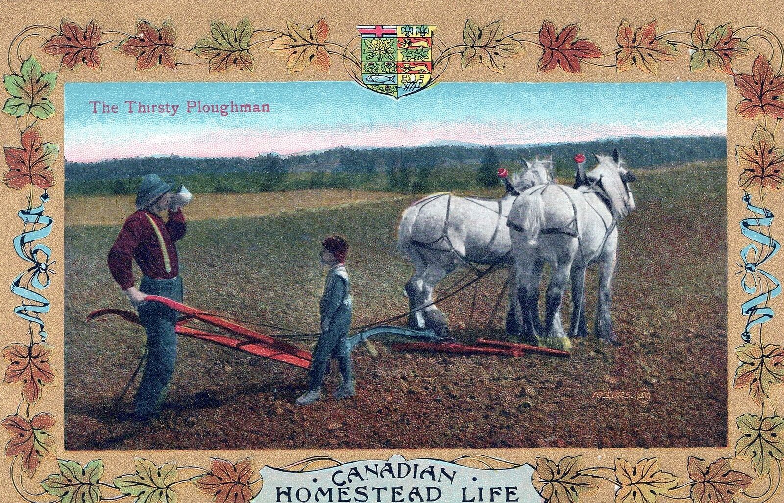 CANADA - The Thirsty Ploughman Canadian Homestead Life Postcard