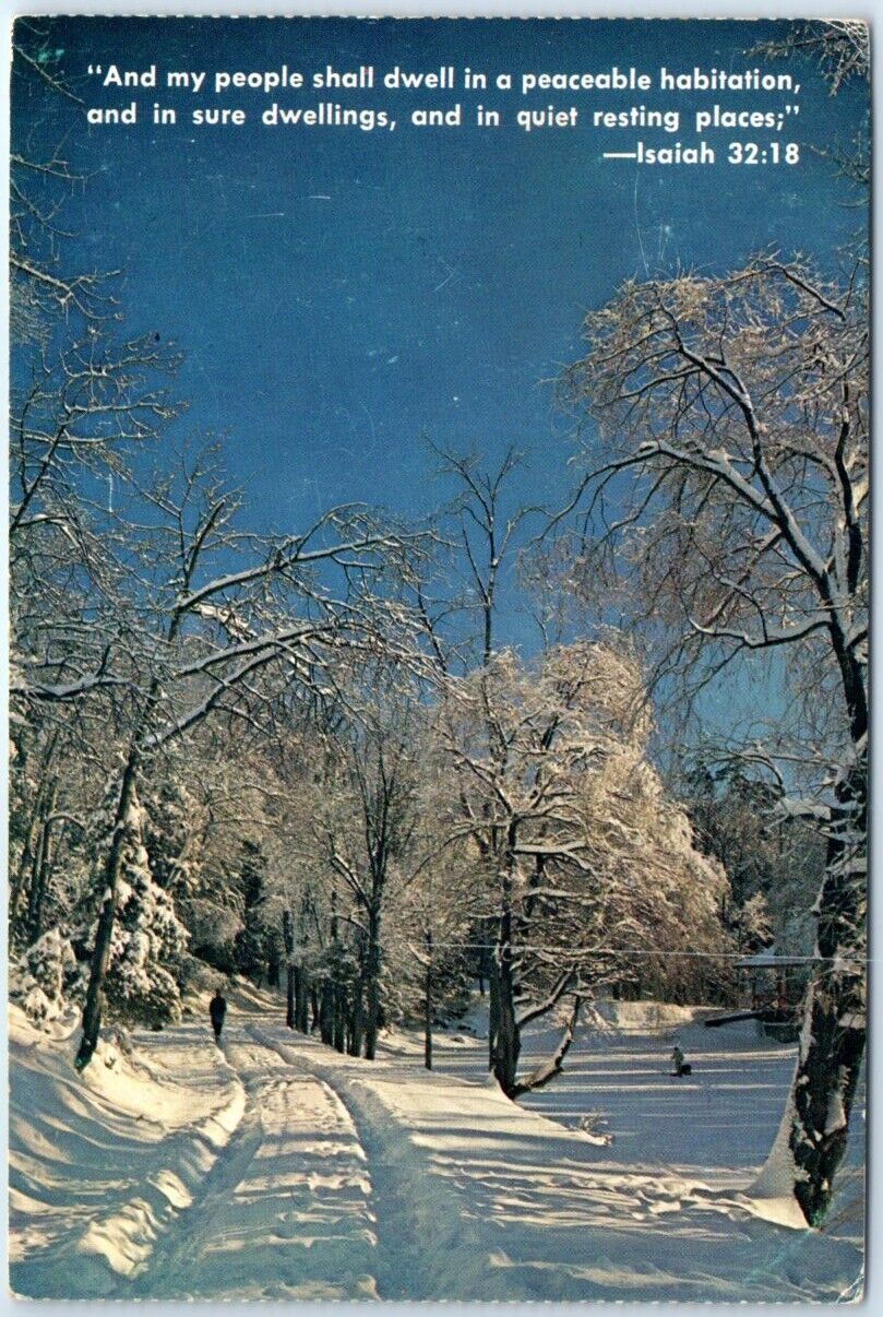 Postcard - Winter Scene