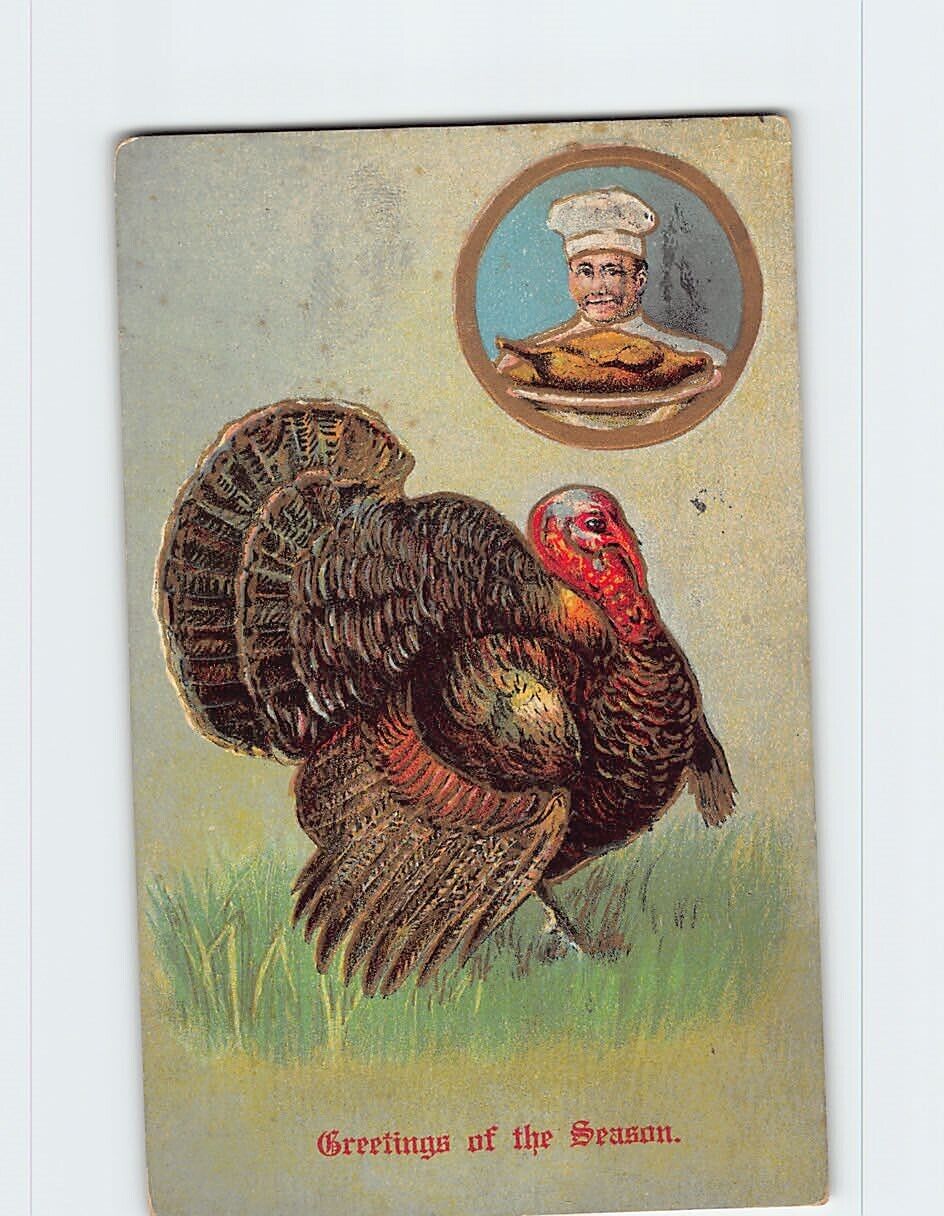 Postcard Greetings of the Season Turkey Art Print Embossed Card