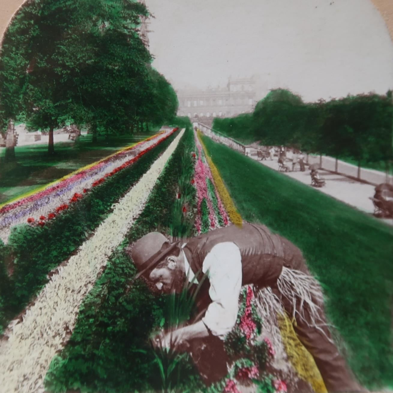 1897 EDINBURGH SCOTLAND EAST PRINCESS STREET GARDENS FLOWERS STEREOVIEW 28-25