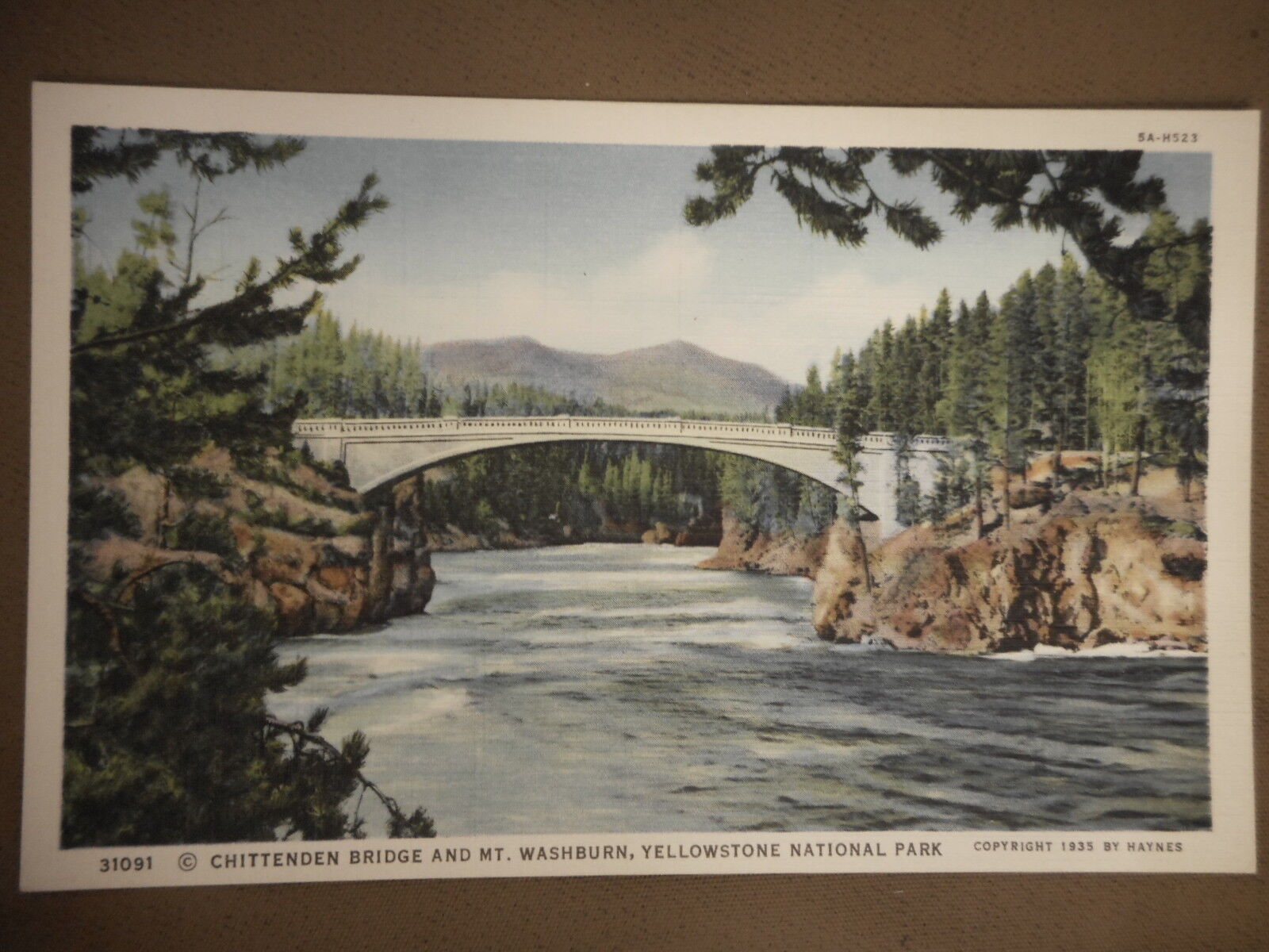 1935 Chittenden Bridge Mt Washburn Yellowstone Park National Park Postcard