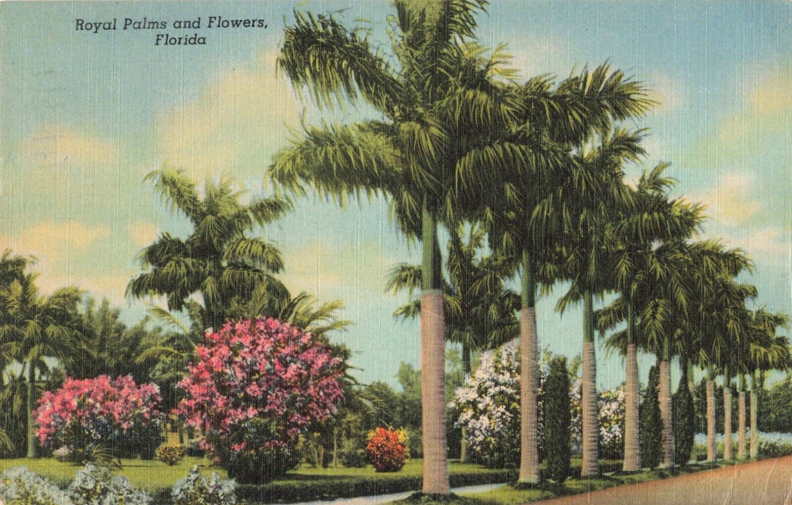 Lake Wales FL Florida, Royal Palm Trees & Flowers, Vintage Postcard