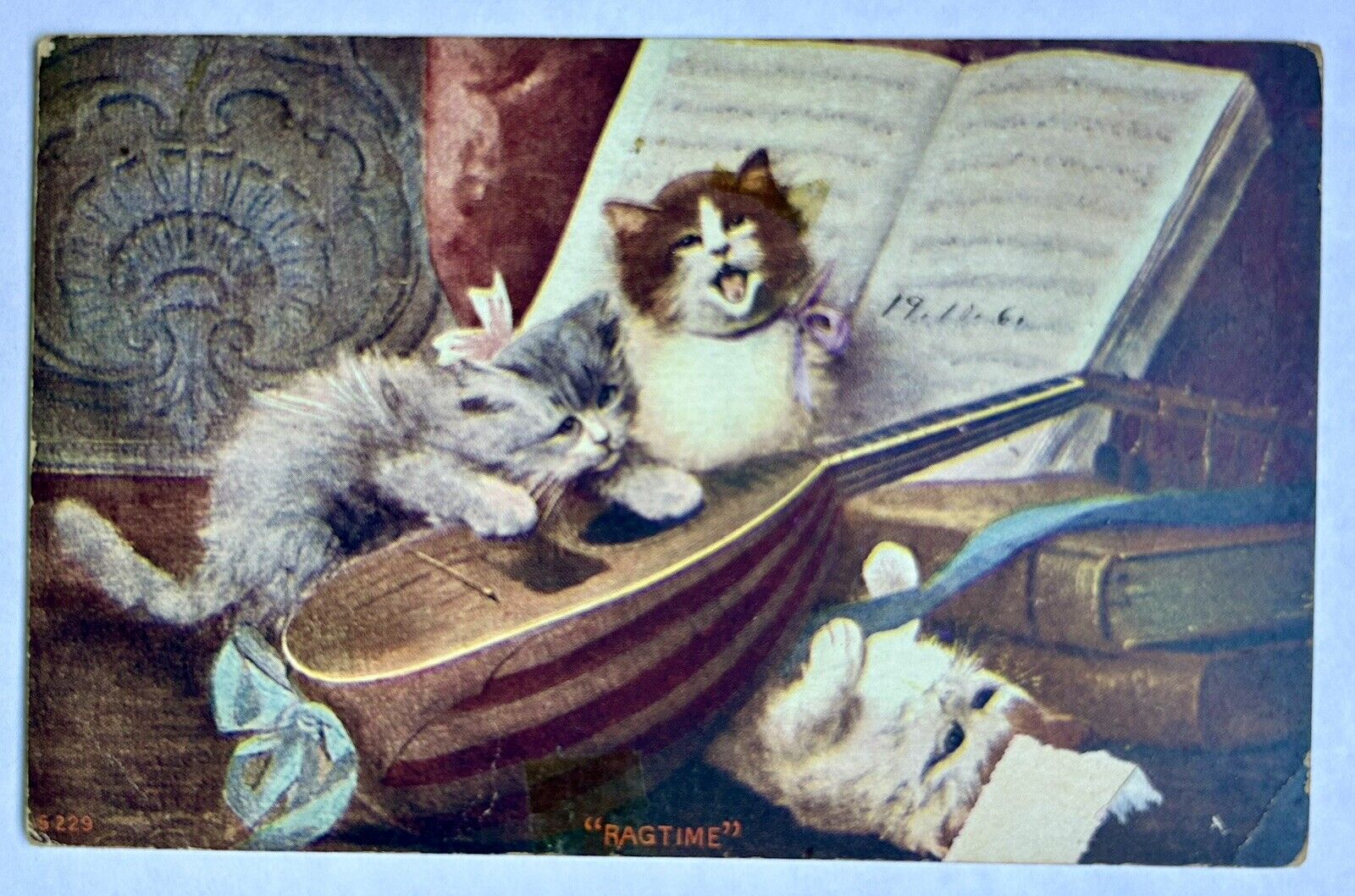 Kittens With Banjo. 1908. Vintage Cat Postcard. Undivided Back