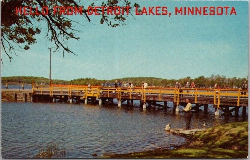 DETROIT LAKES, Minnesota Postcard 