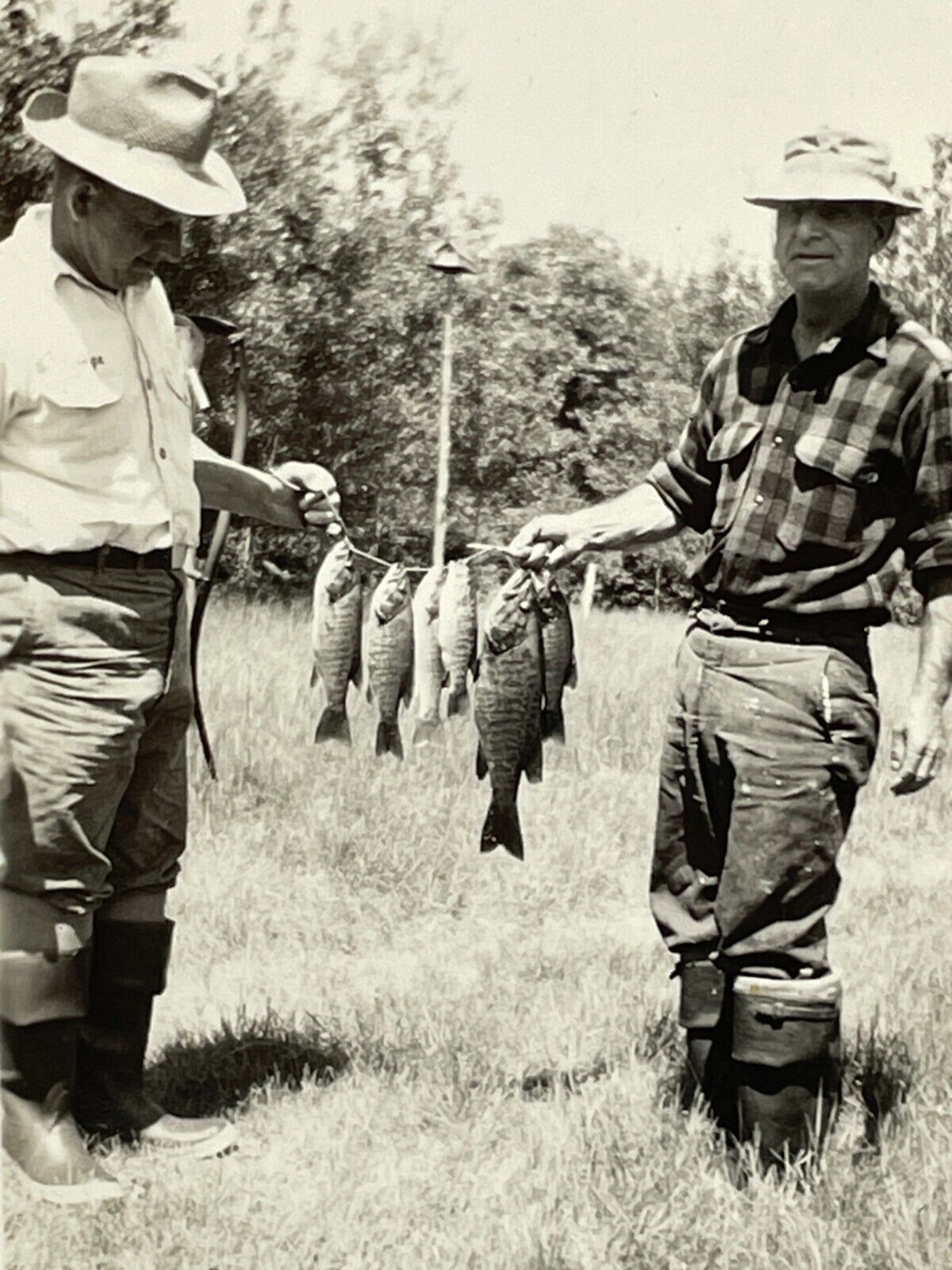 VE Photograph Handsome Old Sportsmen Showing Off Fishing Catch Fish 1920-30's