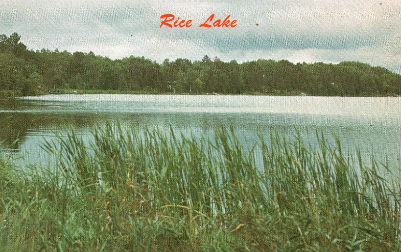 Postcard WI near Spooner Wisconsin Rice Lake Unused Chrome Vintage PC e9305