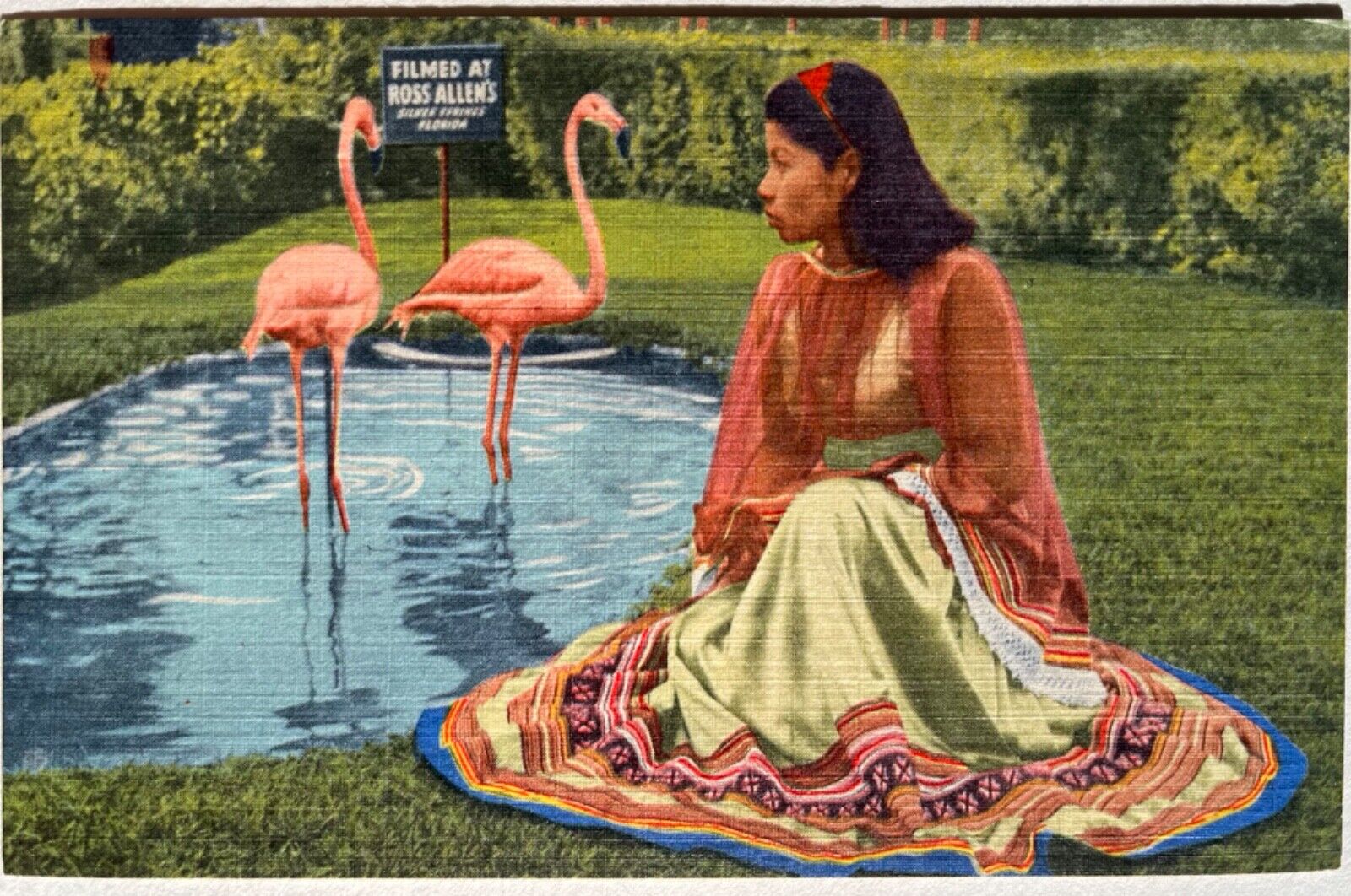 Silver Springs Seminole Girl Flamingos Ross Allen Florida Reptiles Postcard 1957
