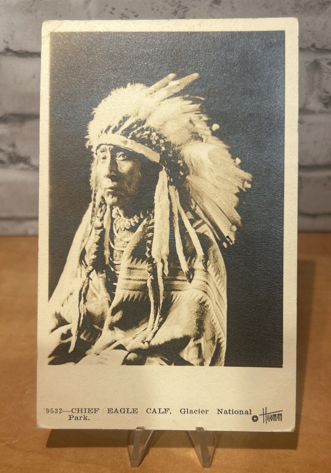 CHIEF EAGLE CALF  Postcard Blackfoot Blackfeet Indian Montana Mt Glacier